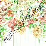 Colour:K