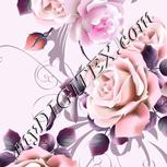 Colour:B