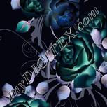 Colour:F