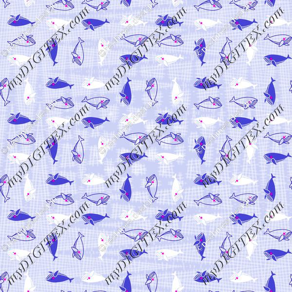 COD-ANIMAL-02 - RAPPORT 24X24