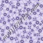 Colour:F