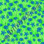 Colour:F
