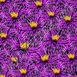 Colour:K