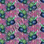 Colour:F