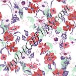Colour:B