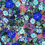 Colour:F
