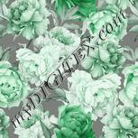 Colour:D