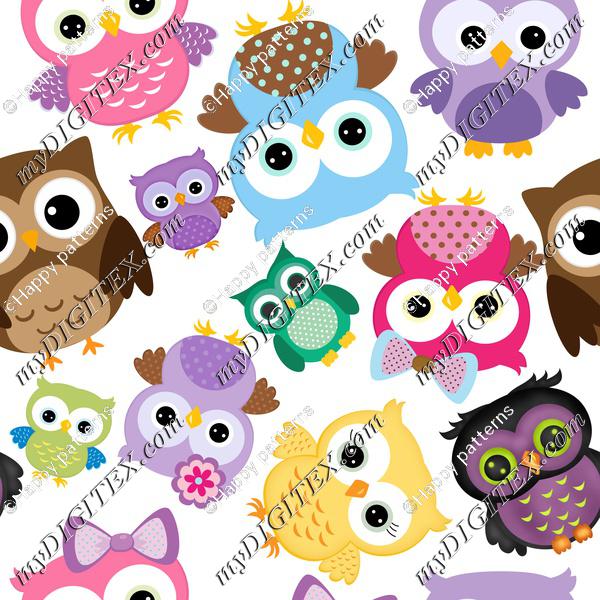 cute owls all sides