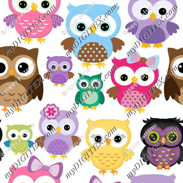 owls various white