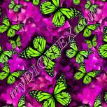 Colour:C