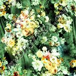 Colour:K