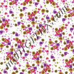 Colour:B