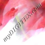 Colour:A