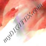 Colour:B