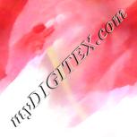 Colour:J