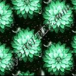 Colour:B