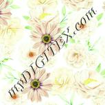 Colour:K