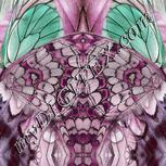Colour:C