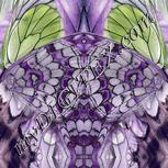 Colour:D
