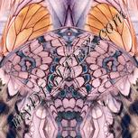 Colour:J