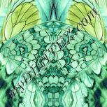 Colour:K
