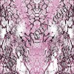 Colour:A