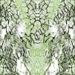 Colour:C