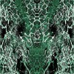 Colour:F