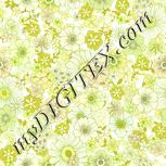 Colour:K