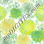 Colour:K