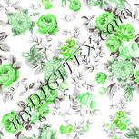 Colour:C