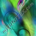 Colour:F