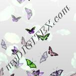 Colour:D