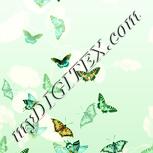 Colour:K