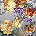 Colour:A