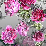 Colour:B