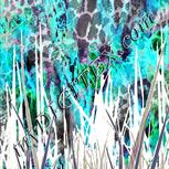 Colour:A