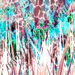 Colour:J