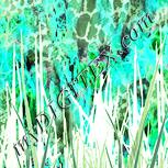 Colour:K