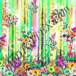 Colour:B
