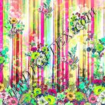 Colour:C