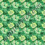Colour:K