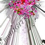 Colour:B
