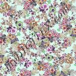 Colour:B