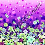 Colour:D