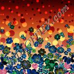 Colour:F