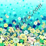 Colour:K