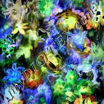 Colour:F