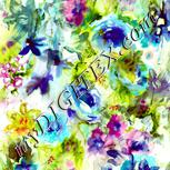 Colour:K