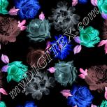 Colour:F